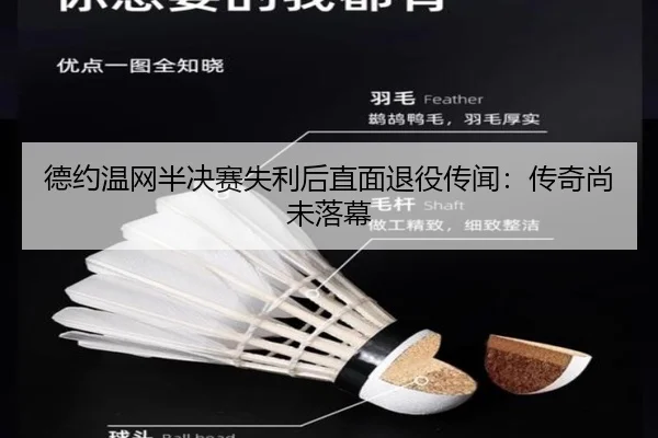 德约温网半决赛失利后直面退役传闻：传奇尚未落幕
