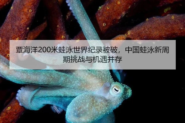 tan-hai-yang-mi-wa-yong-shi-jie-ji-lu-bei-po-zhong-guo-wa-yong-xin-zhou-qi-tiao-zhan-yu-ji-yu-bing-cun-2-980.jpg
