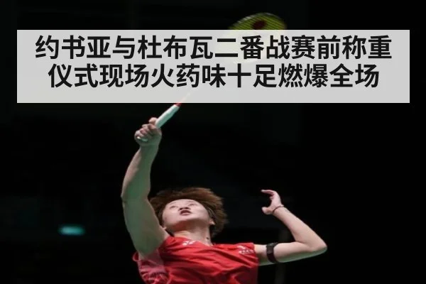 约书亚与杜布瓦二番战赛前称重仪式现场火药味十足燃爆全场